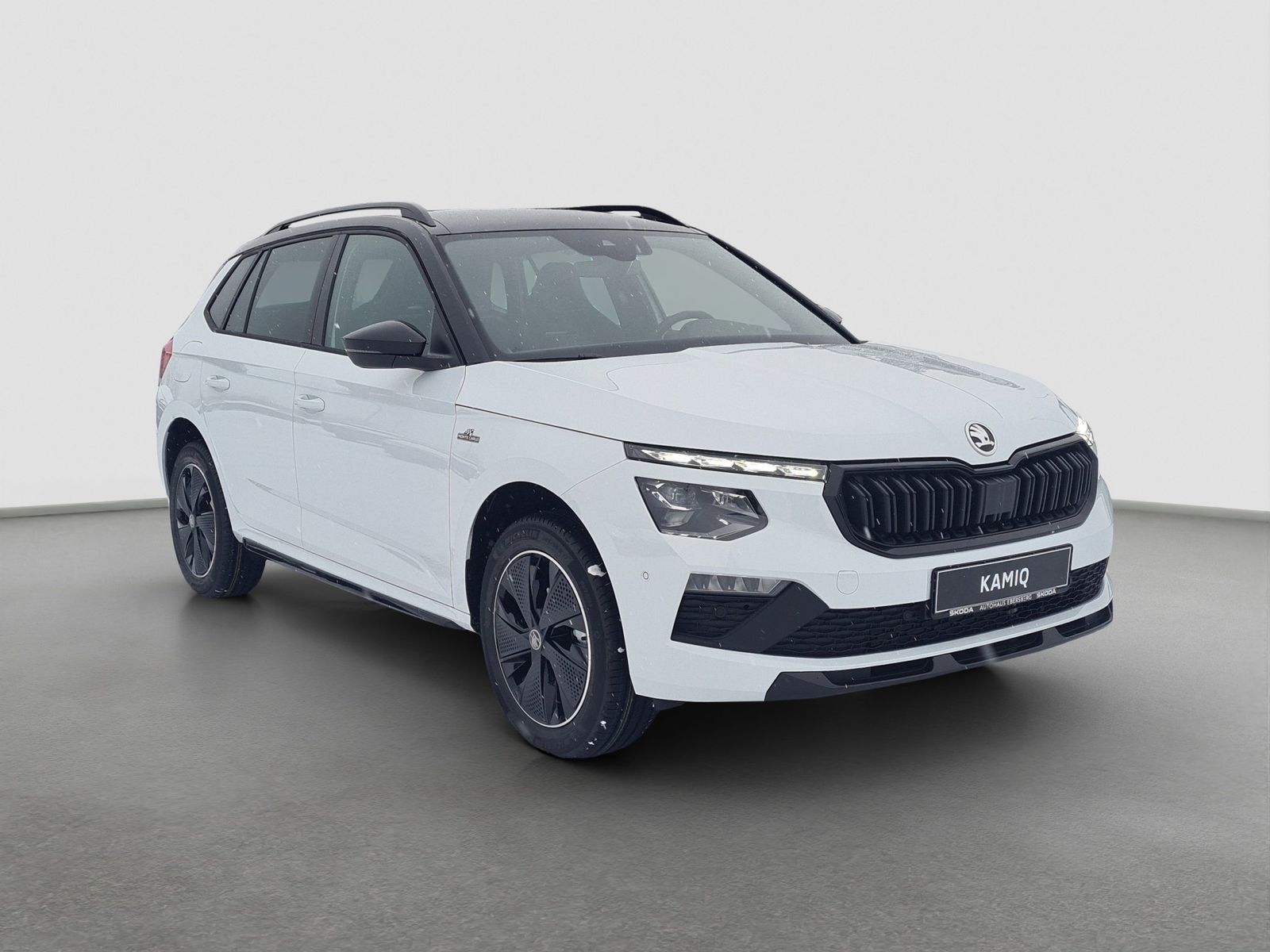 Skoda Kamiq - Bild 5