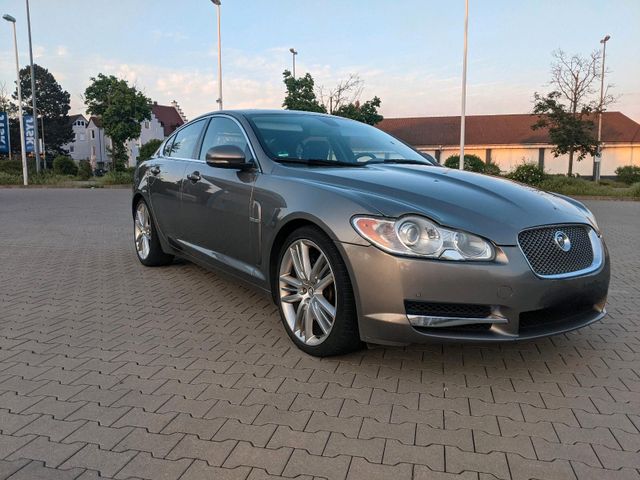 Jaguar XF Diesel V6 Premium Luxury Vollaus...