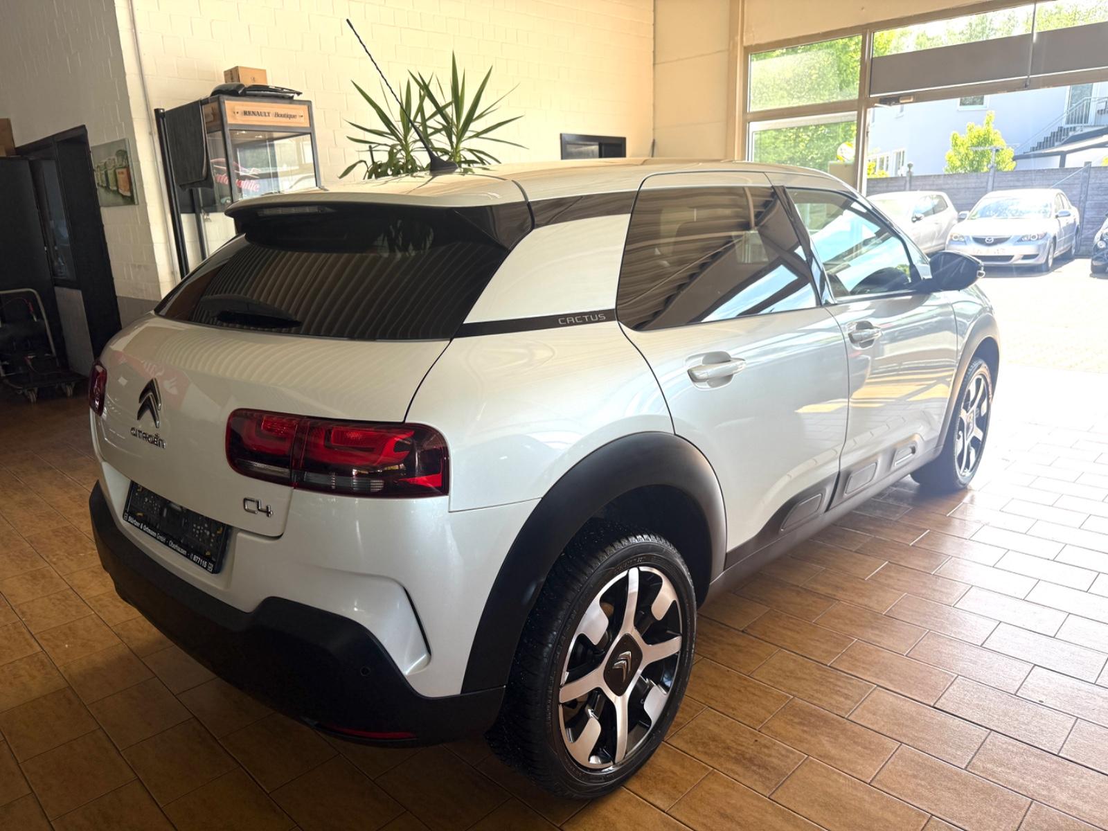 Citroën C4  CACTUS