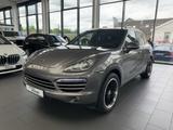 Porsche Cayenne Verkauf nur Gewerbe/Export LM-20'/NAVI/L - Porsche Cayenne