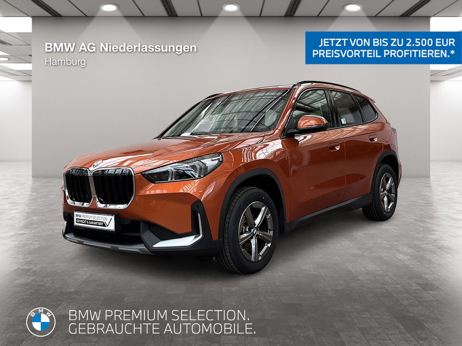 BMW X1 sDrive20i AHK Kamera LED Sitzheizung Alarm