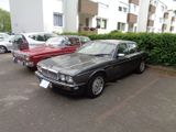 Jaguar JAGUAR XJ 40 / 81 3,2 an Bastler - Jaguar XJ40: Privatanbieter