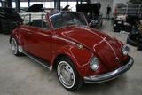 Volkswagen Käfer Cabriolet - Ein Traum in rot - Volkswagen Käfer in Düsseldorf