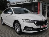 Skoda Octavia TDI Selection Sitzheizung LED CAM Smart 