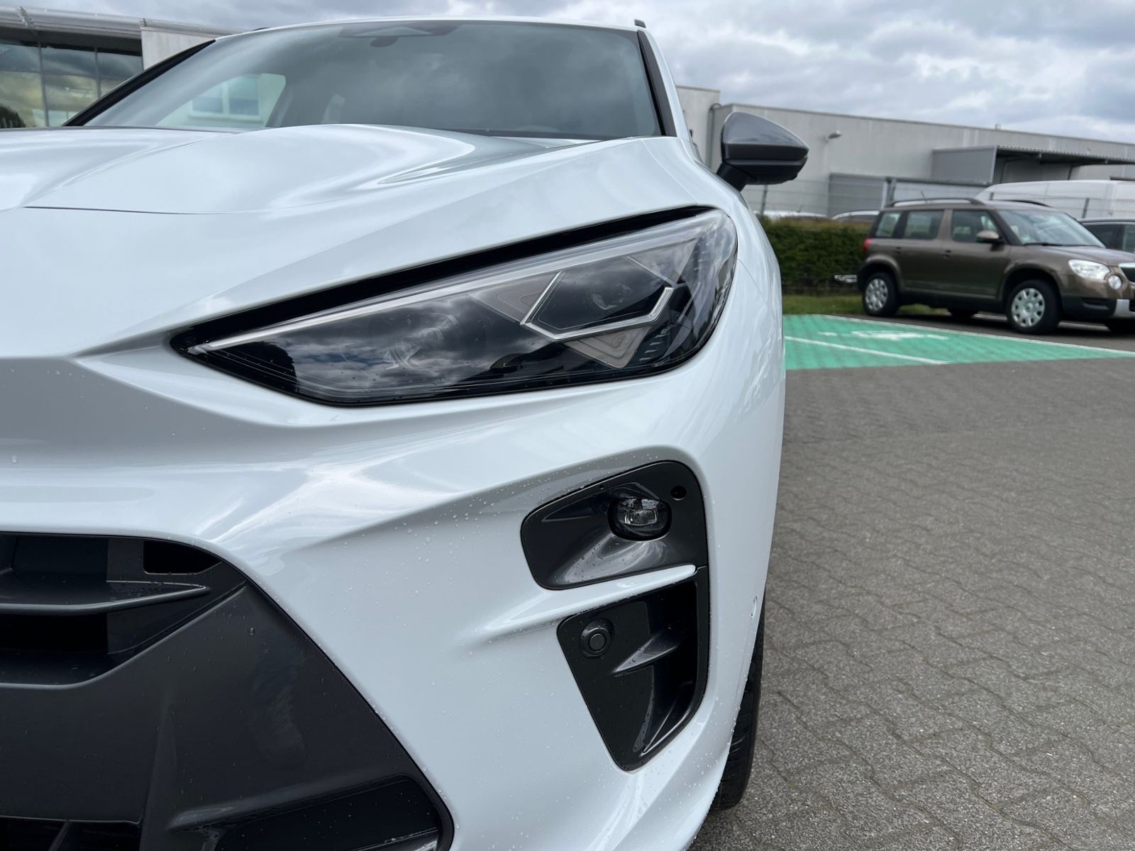Cupra Terramar - Bild 6