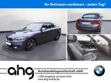 BMW 220i Steptronic Cabrio M Sport Sport Aut. PDC - BMW 220: I