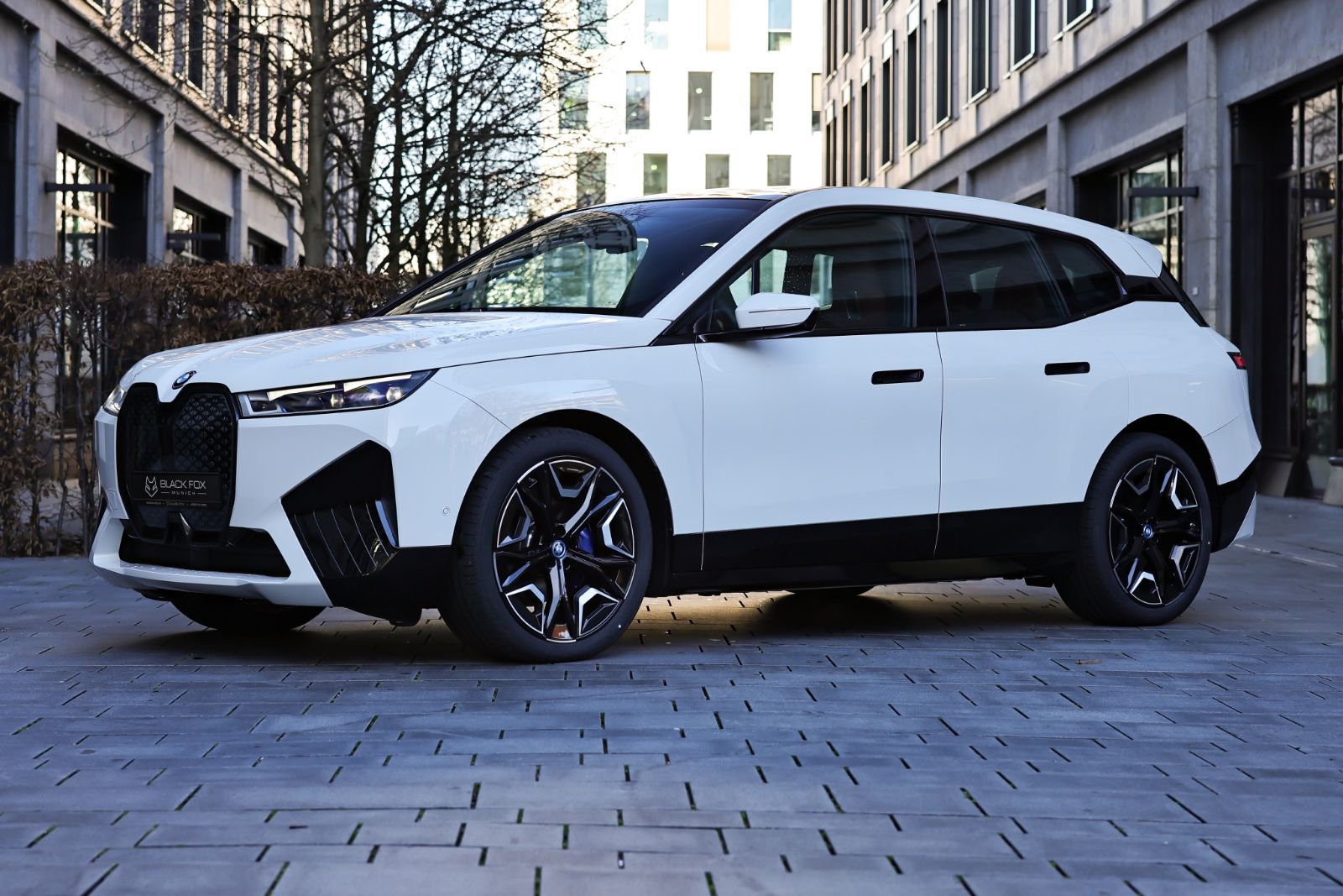 BMW iX40 | xDrive Sport | Panorama | 22" Felgen