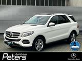 Mercedes-Benz GLE 400 4Matic ILS/AHK ILS/AHK/Distronic - gebrauchte Mercedes-Benz GLE 400 aus dem Jahr 2016