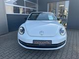 Volkswagen Beetle 1.2 TSI Club Xenon Navi Sitzheizung - gebrauchte VW Beetle aus dem Jahr 2015