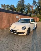 Volkswagen VW Beetle 1.2 TSI Top Zustand - VW Beetle Gebrauchtwagen in Hamburg