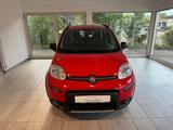 Fiat Panda Wild 4x4 ALLRAD KLIMA PDC 1 HAND - Fiat Panda WILD-4X4