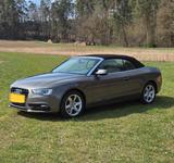 Audi Cabriolet A5 - Audi Cabriolet Gebrauchtwagen