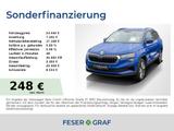 Skoda Karoq 2.0 TDI Style 4x4 DSG LED/Kamera/SHZ/Navi - Skoda Karoq in Ludwigshafen