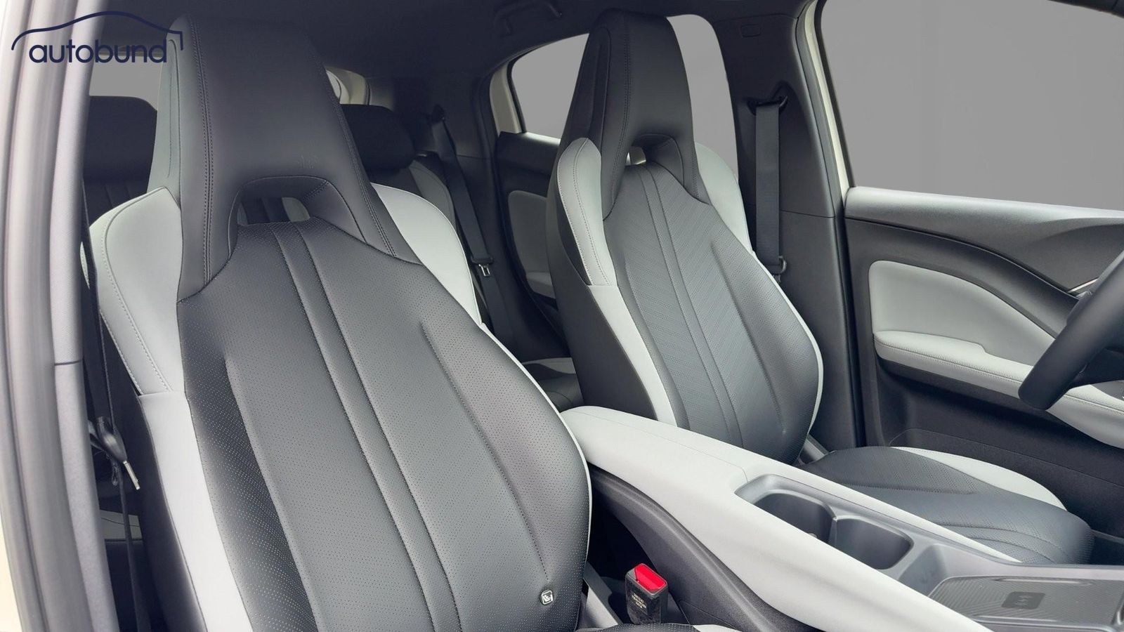 BYD DOLPHIN SURF