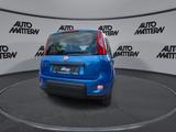 Fiat Panda 1,0 Hybrid PDC TFT Tacho Klima Bluetooth - Fiat Panda Gebrauchtwagen in Bielefeld