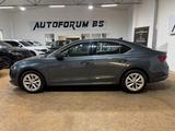 Skoda OctaviaLim. FirstEdition2.0TDI DSG/STANDHEIZ/AHK - Skoda Octavia mit Diesel-Antrieb: Limousine, Automatik