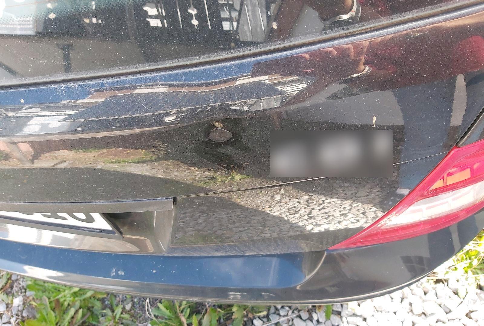 Mercedes-Benz C220 2010 — photo 8