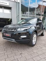 Land Rover Range Rover Evoque Pure+ALLWETTER+MERIDIAN - gebrauchte Land Rover Range Rover Evoque aus dem Jahr 2014