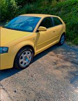 Audi a3 2.0 fsi - Audi A3 aus 2003: 2.0