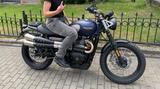 Triumph NEU!!! Street Scrambler 900 GoldLine Edition  - Triumph Motorräder in Düsseldorf