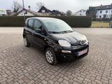 Fiat Panda Lounge - Fiat Panda mit CNG-Antrieb
