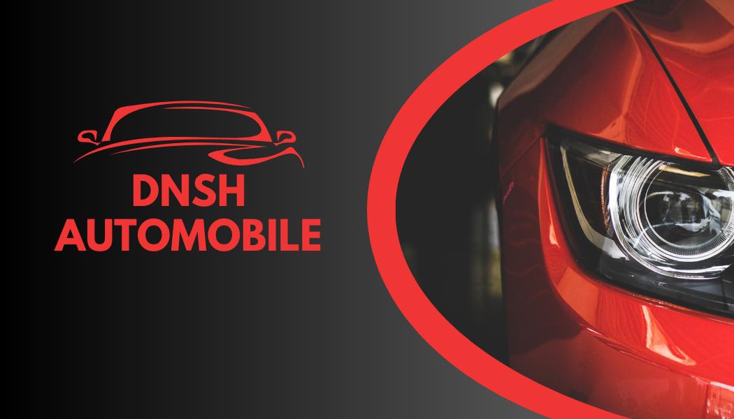 Logo DNSH-Trading GmbH
