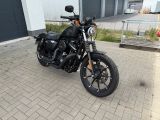 Harley-Davidson Sportster Iron 883