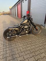 Harley-Davidson Sportster  1200 Iron - Offers