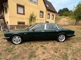 Jaguar XJ40 - Jaguar XJ40: Limousine