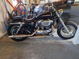 Harley-Davidson Sportster 1200 c - HARLEY-DAVIDSON 2005 SPORTSTER 1200