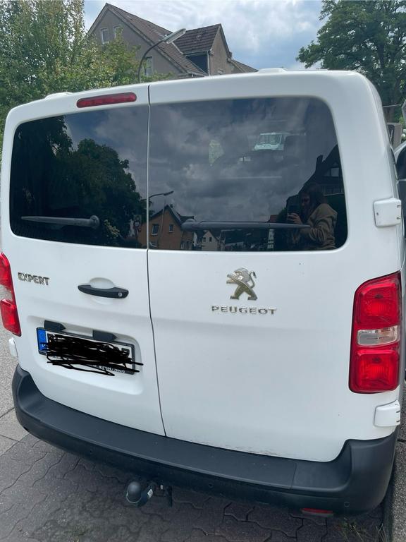Peugeot Traveller