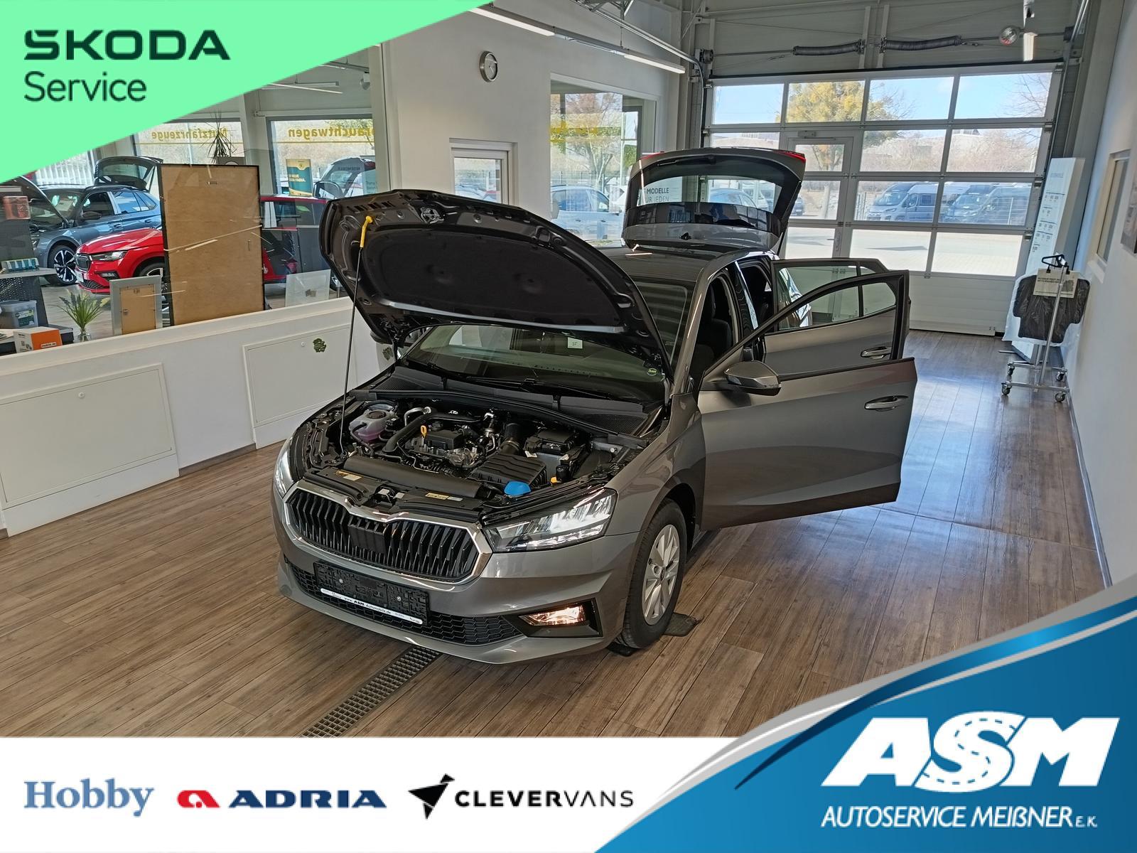 Skoda Fabia 130 Jahre 1,0 TSI *LED*R-KAM*PDC*DAB*SHZ*