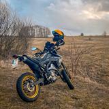Honda CRF250 L/M *Top Zustand*
