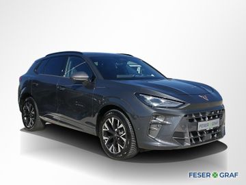 Cupra Terramar - 2