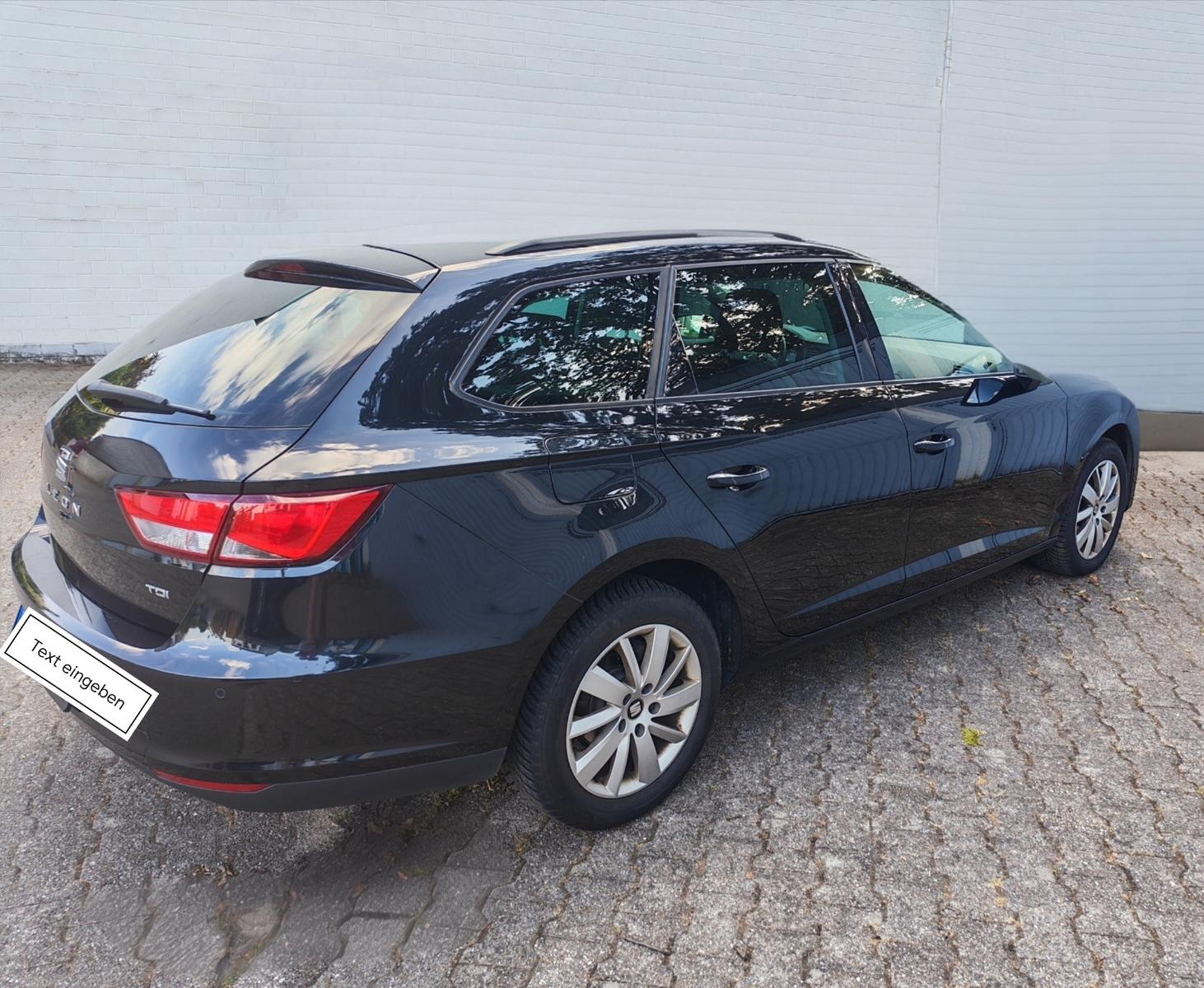 Seat Leon 2014 — rear view
