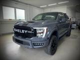 Ford F 150/2.7/Raptor/4x4 - Ford F 150 aus 2021