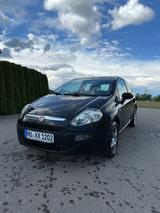 Fiat Punto 1.4 8V Start&Stopp EASY EASY - Fiat Punto Star mit Benzin-Antrieb