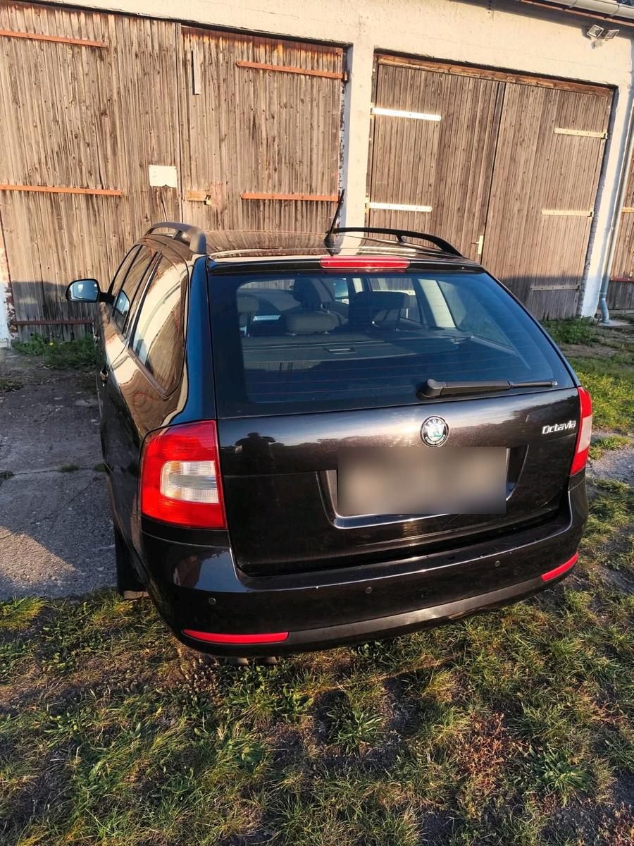 Skoda Octavia 2011 — photo 11