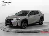 Lexus UX Hybrid Premium - graue Lexus UX