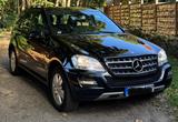 Mercedes-Benz ML 300 CDI 4MATIC BlueEFFICIENCY - - Mercedes-Benz ML 300: Cdi 4matic