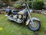 Yamaha XVS 650 A Drag Star mit sinnvollen Extra - Angebote