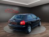 Audi A3 Automatik*TÜV*S-DACH*LEDER*KLIMA*SHZ - Audi A3 aus 1997
