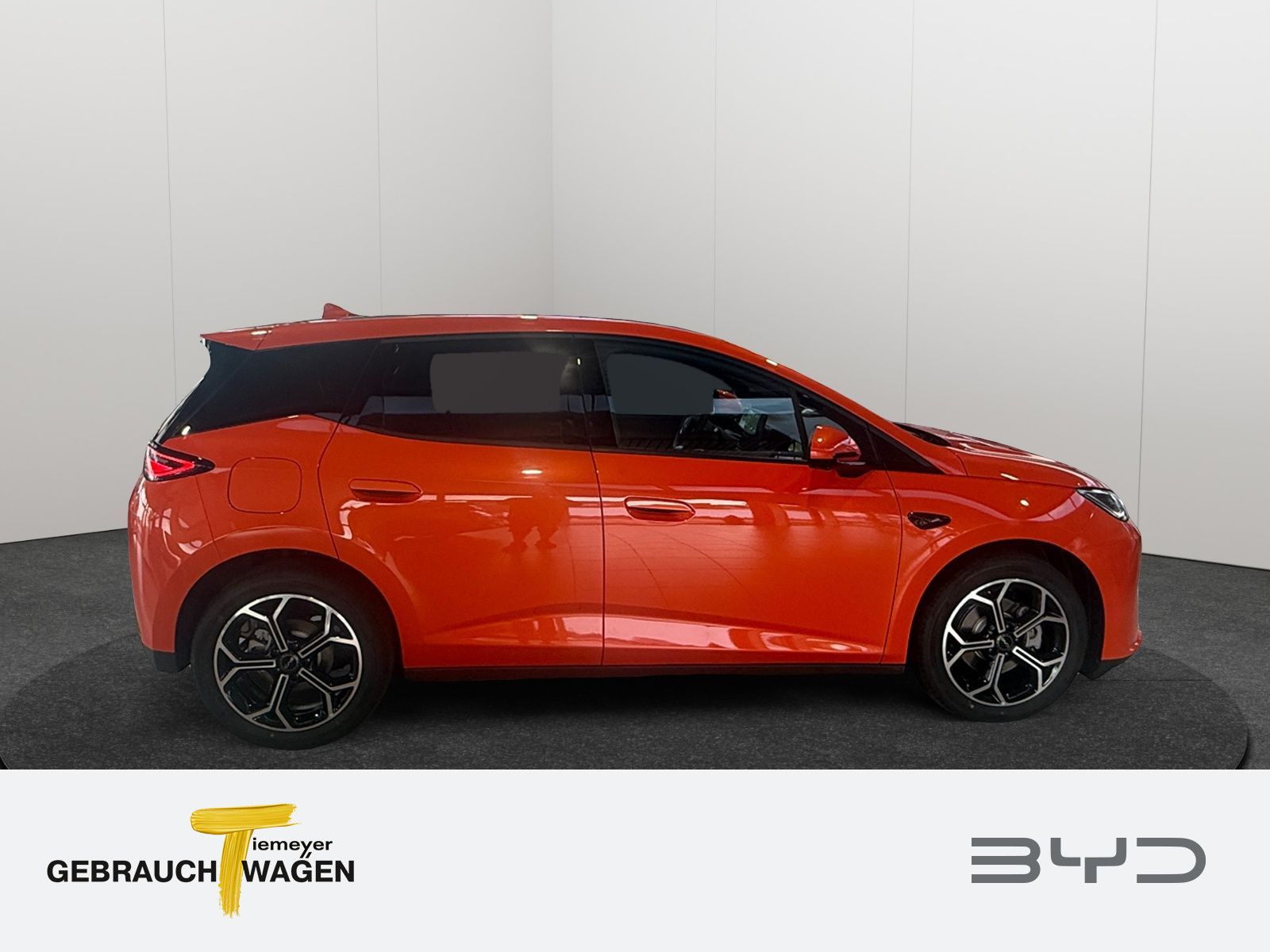 BYD DOLPHIN