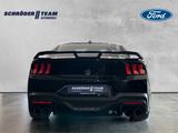 Ford Mustang 5.0 Ti-VCT V8 334 Dark Horse - Ford Mustang Gebrauchtwagen in Bielefeld