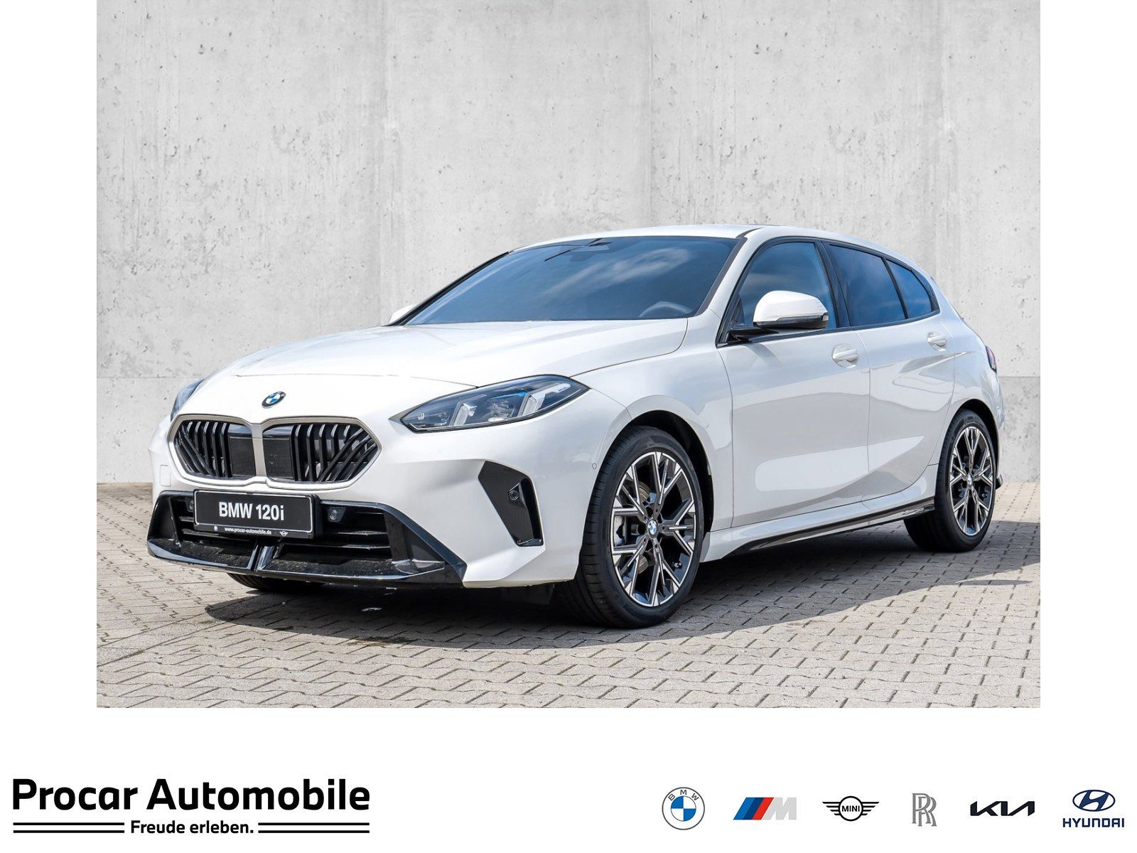 BMW 120 M Sport RFK NAVI LED PDC V+H DAB Parkass.