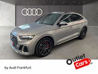 Audi SQ5 - Vorschau Bild 1