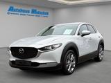 Mazda CX-30 SKY.-G140 Aut.Exclusive-Line HUD Navi BOSE - Mazda Jahreswagen