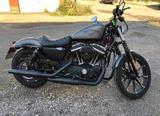Harley-Davidson Sportster 833 XL N iron - Neuwertig