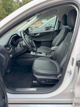 Ford Kuga PHEV Vignale Leder  Nr.  59792 - Ford Kuga: Weiß