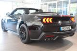 Ford Mustang Convertible 5.0 Ti-VCT V8 328 kW GT - Ford Mustang Neuwagen in Düsseldorf